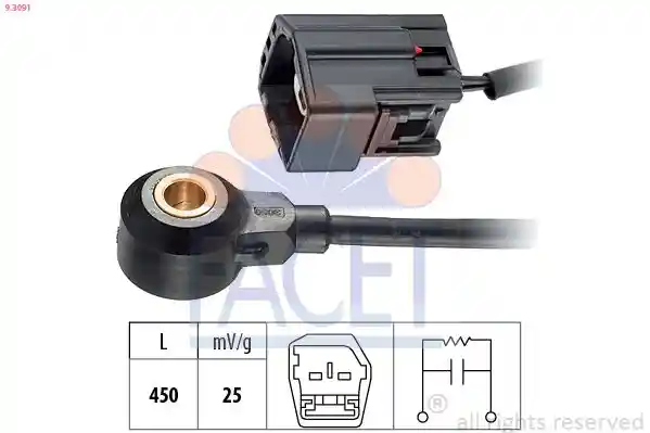 FACET 9.3091 FACET 9.3091
