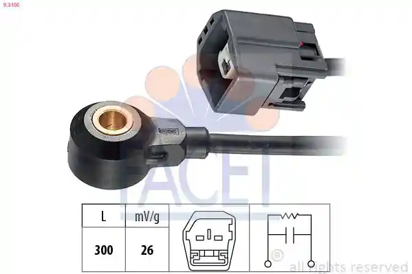 FACET 9.3105