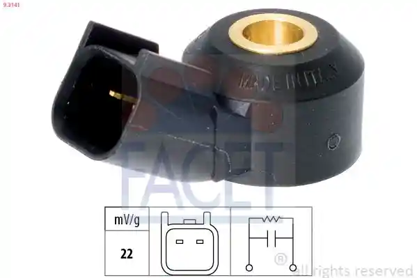 FACET 9.3141 FACET 9.3141