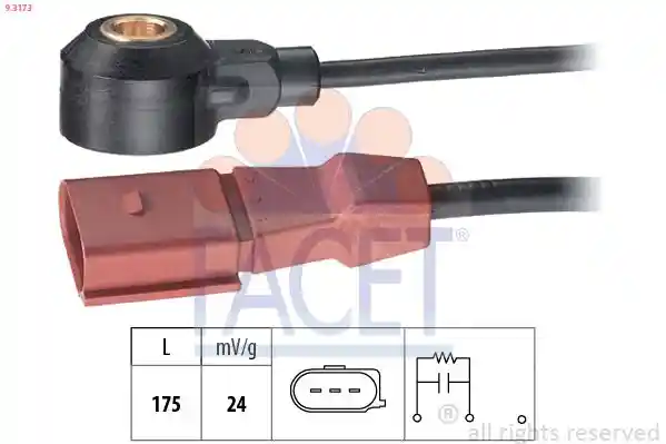 FACET 9.3173 FACET 9.3173