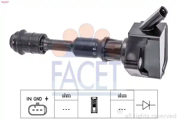 FACET 9.6537