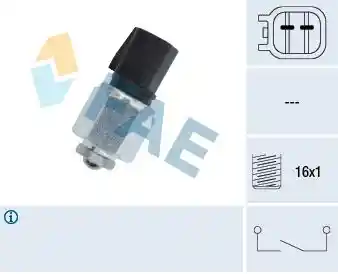 FAE 40595 FAE 40595