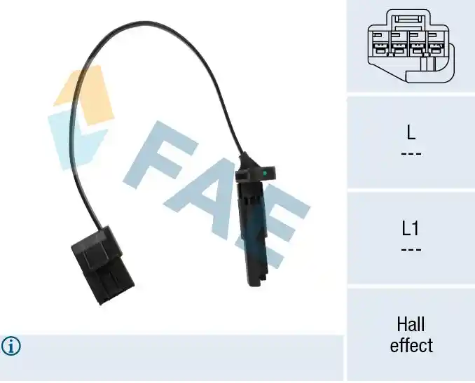 FAE 76022