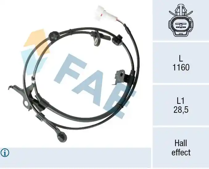 FAE 78572