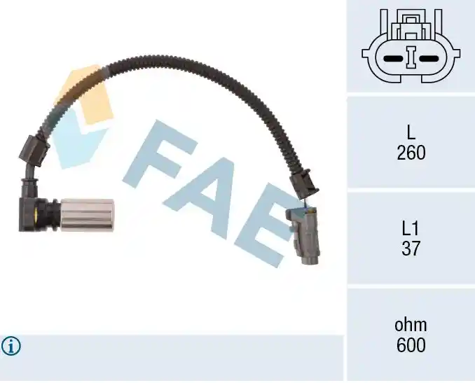 FAE 79086