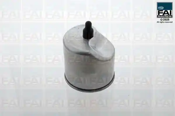 FAI AutoParts FPFF106 FAI AutoParts FPFF106