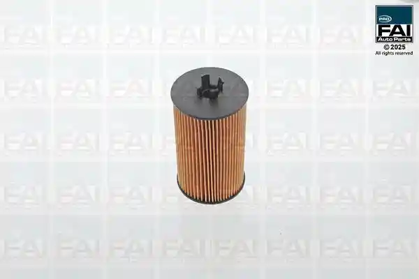 FAI AutoParts FPOF100
