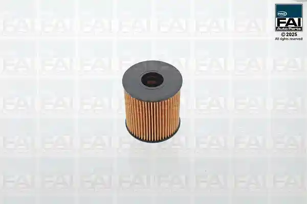 FAI AutoParts FPOF101