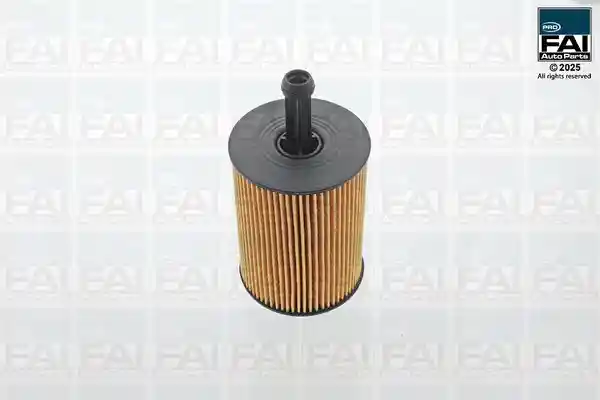 FAI AutoParts FPOF107