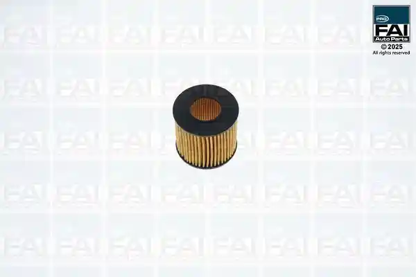 FAI AutoParts FPOF123