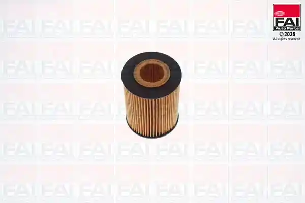 FAI AutoParts FPOF125