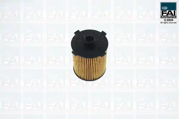 FAI AutoParts FPOF165