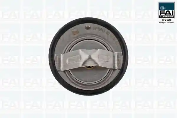 FAI AutoParts FPTI013