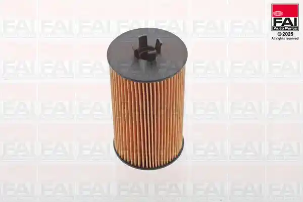 FAI AutoParts OF100