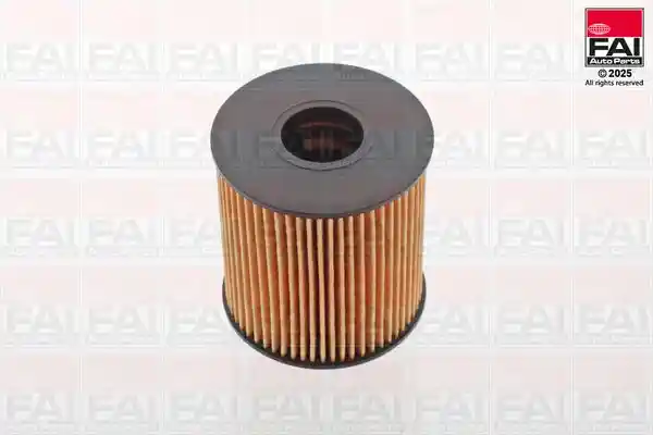 FAI AutoParts OF101