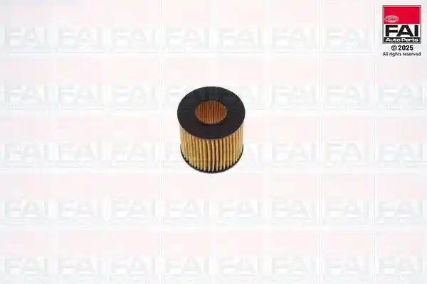 FAI AutoParts OF123