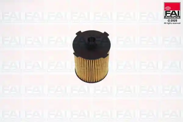FAI AutoParts OF165