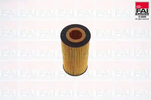 FAI AutoParts OF176