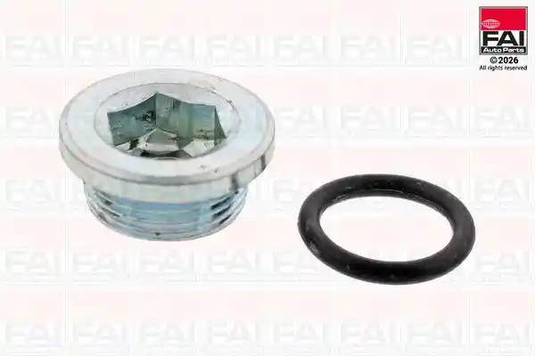 FAI AutoParts SPW1017 FAI AutoParts SPW1017