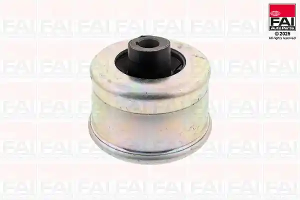 FAI AutoParts SS2223 FAI AutoParts SS2223