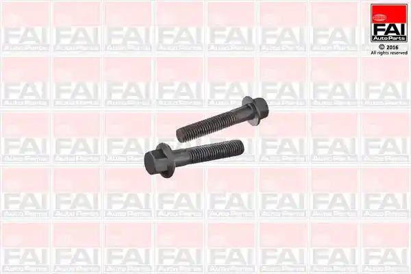 FAI AutoParts SS9254BK
