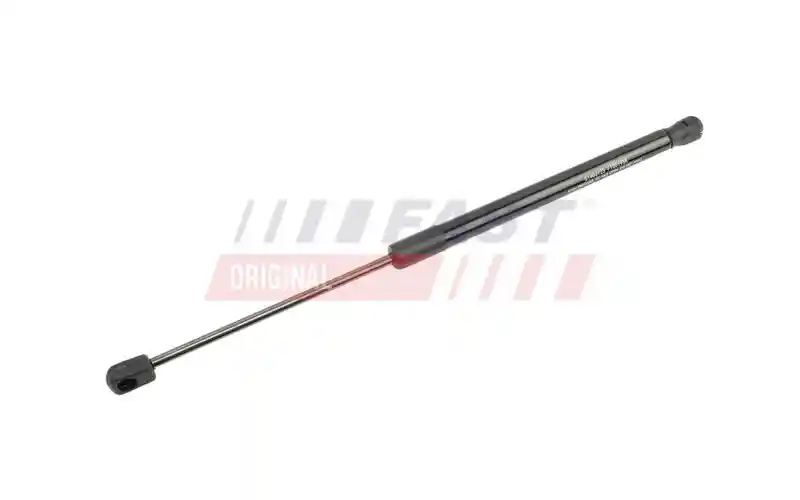 FAST FT00195