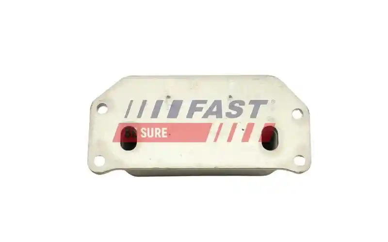 FAST FT00674