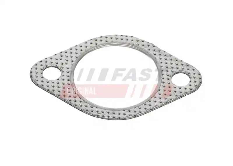FAST FT14581 FAST FT14581