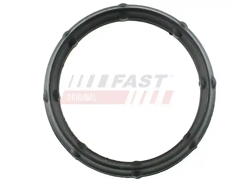 FAST FT49424 FAST FT49424