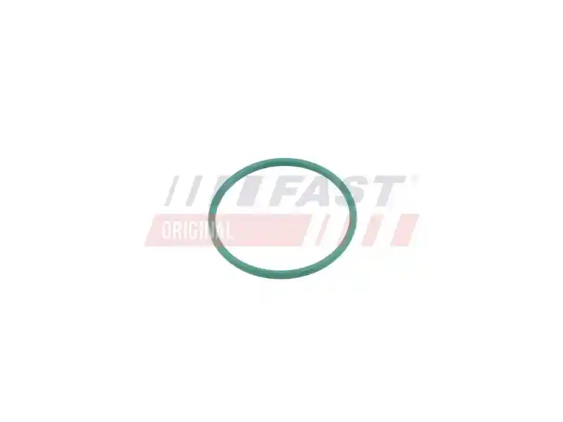 FAST FT49921 FAST FT49921