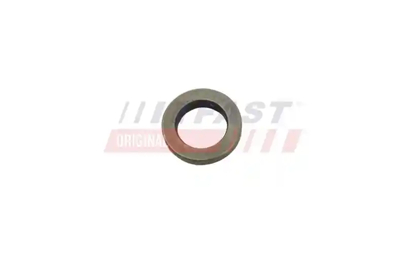 FAST FT53851