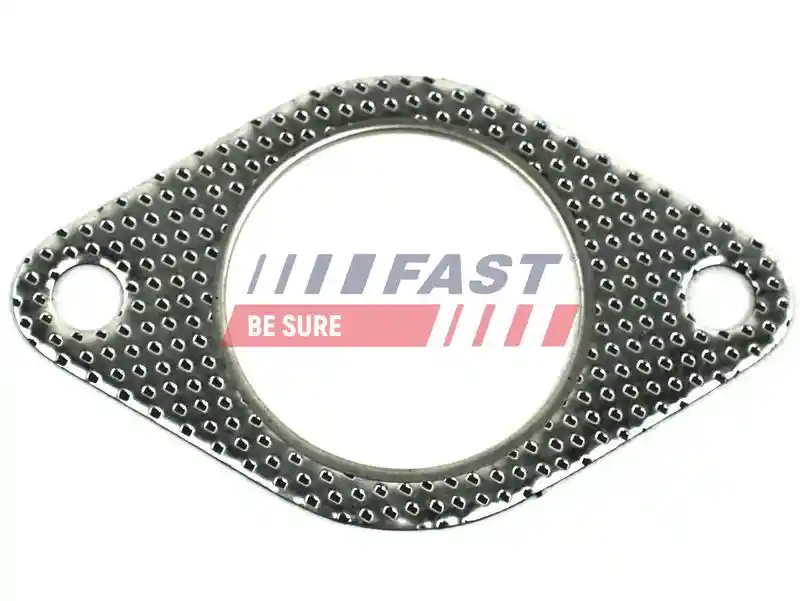 FAST FT84579
