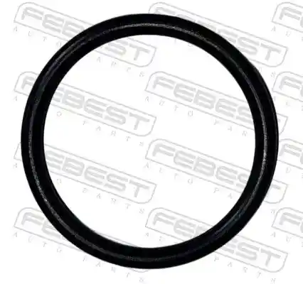 FEBEST 02400-009