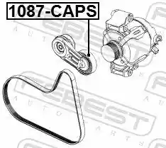 FEBEST 1087-CAPS