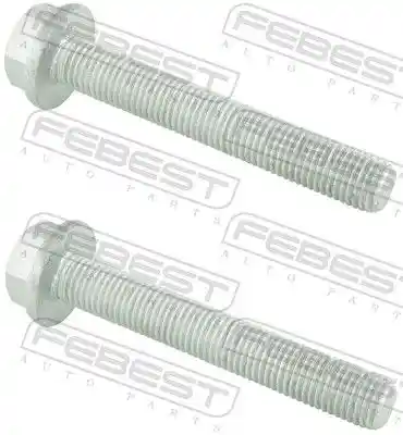 FEBEST 2098-001-PCS2