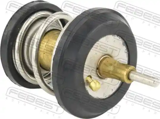 FEBEST 23462-010