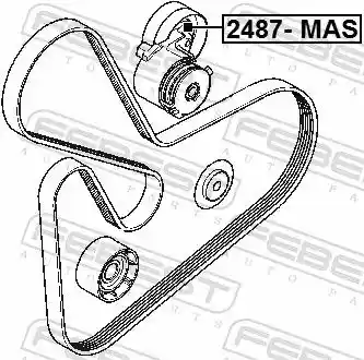 FEBEST 2487-MAS