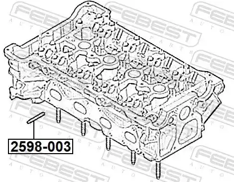 FEBEST 2598-003