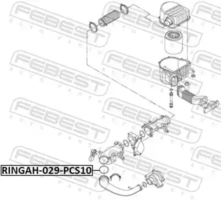 FEBEST RINGAH-029-PCS10