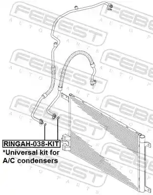 FEBEST RINGAH-038-KIT