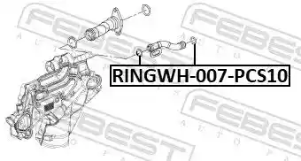 FEBEST RINGWH-007-PCS10