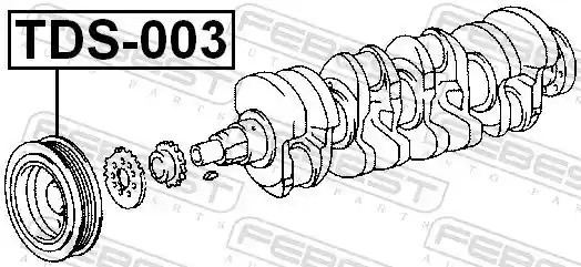 FEBEST TDS-003