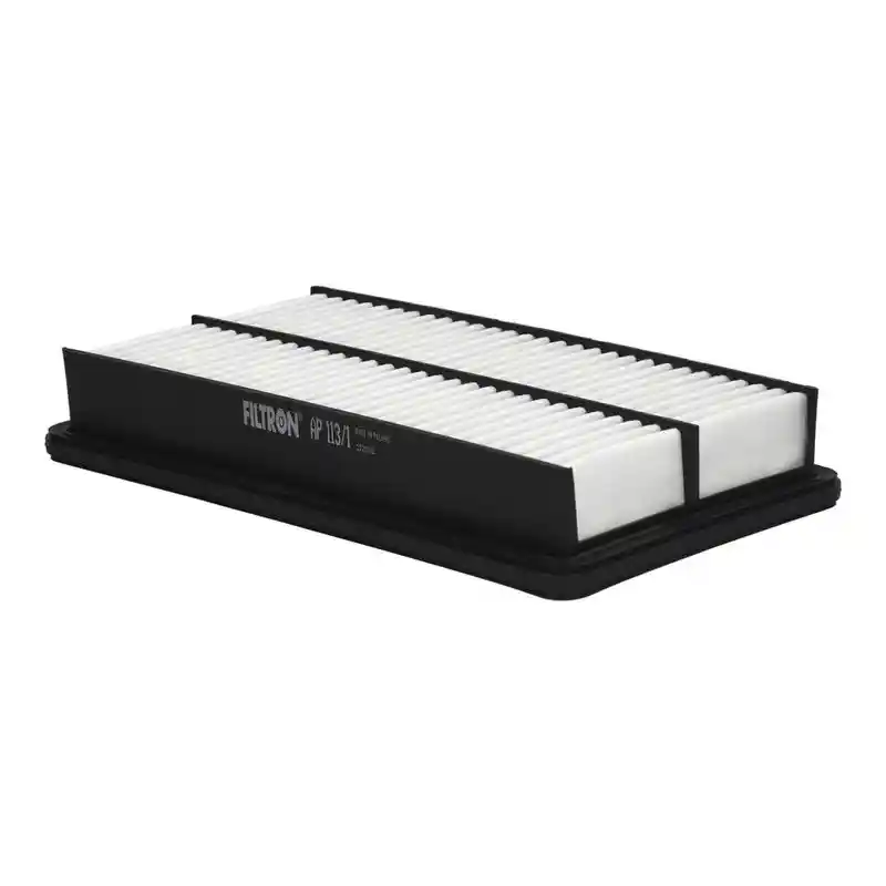 FILTRON AP 113/1
