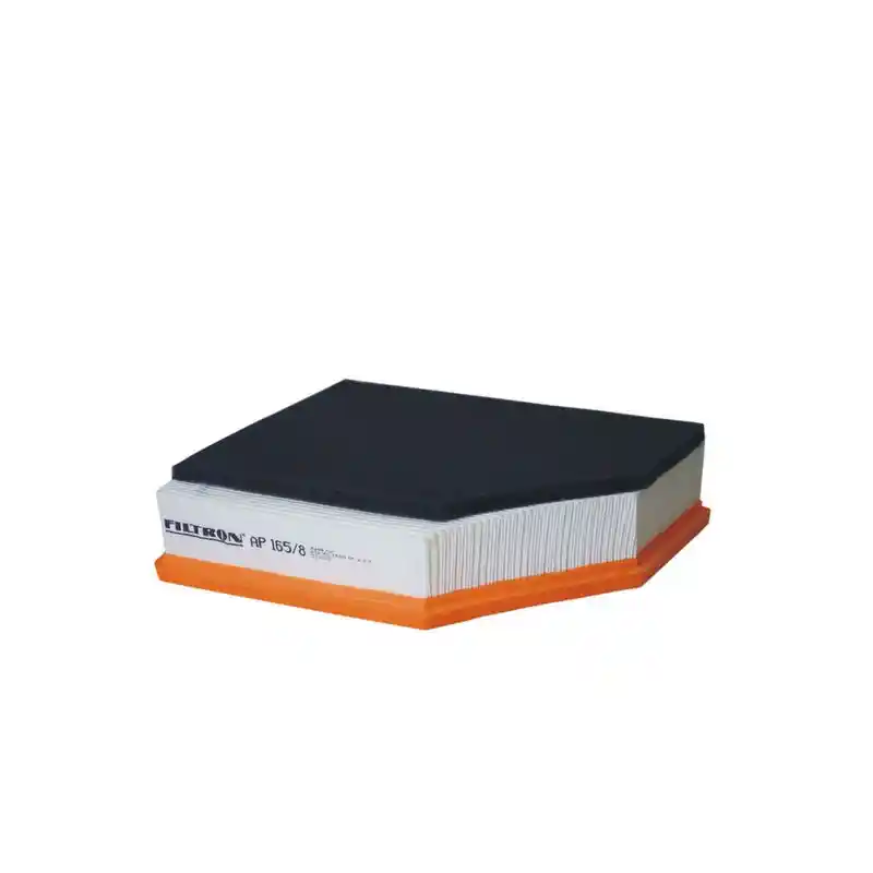 FILTRON AP 165/8