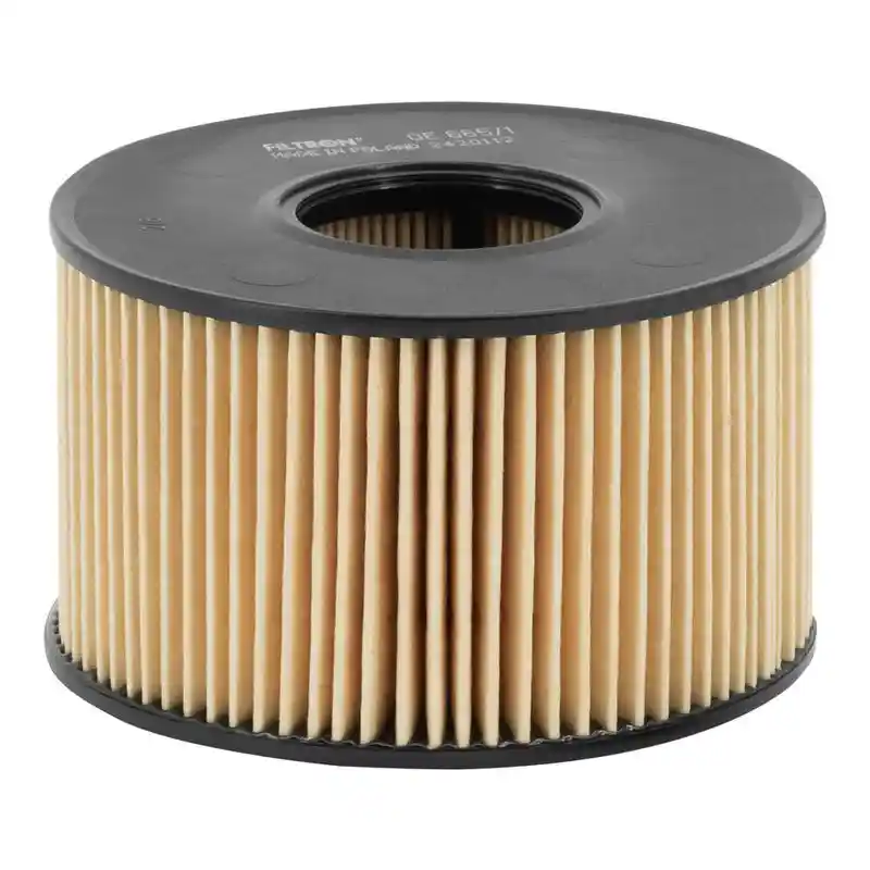 FILTRON OE 665/1