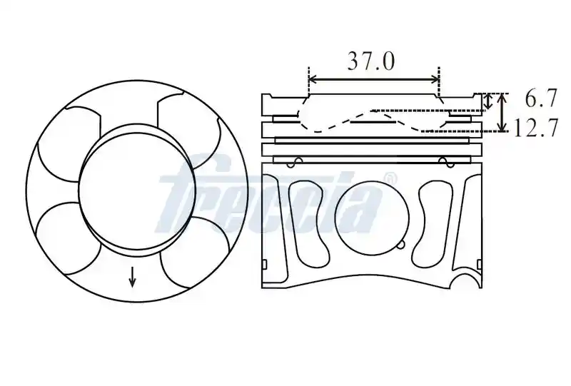 FRECCIA FP23-101600