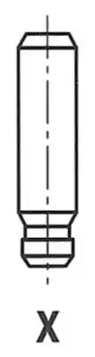 FRECCIA G11307