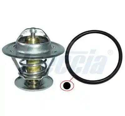 FRECCIA TER33-00005
