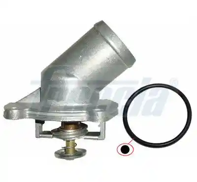 FRECCIA TER33-00011 FRECCIA TER33-00011