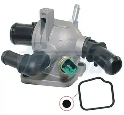 FRECCIA TER33-00019 FRECCIA TER33-00019
